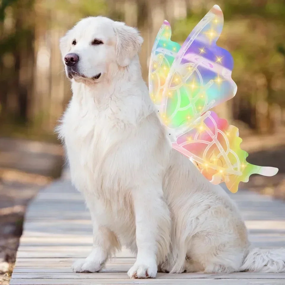 Fairy Wings For Pets