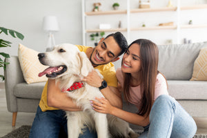 Pet Essentials