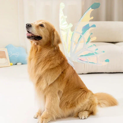 Fairy Wings For Pets